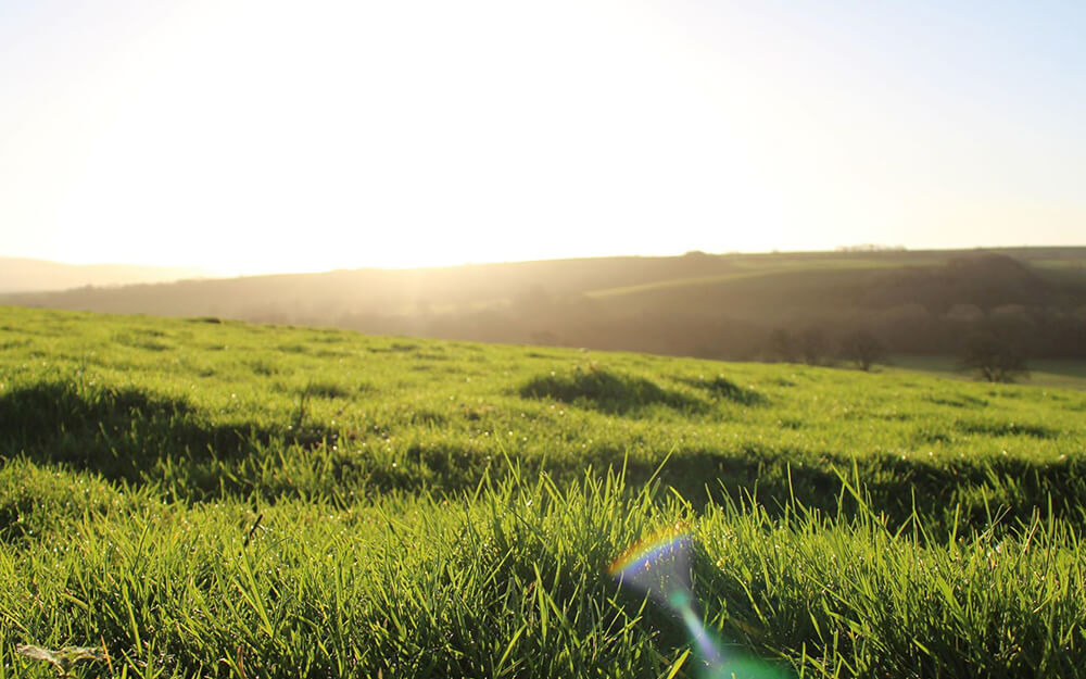 Teamwork Makes The Dream Work