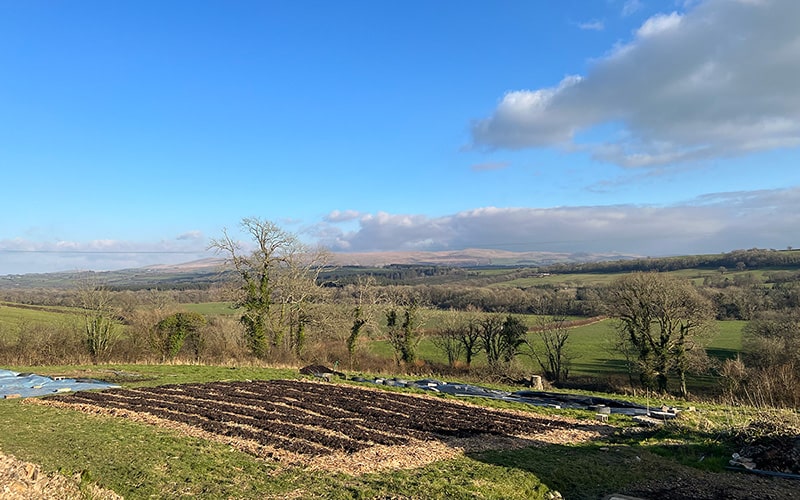 what is the hungry gap?