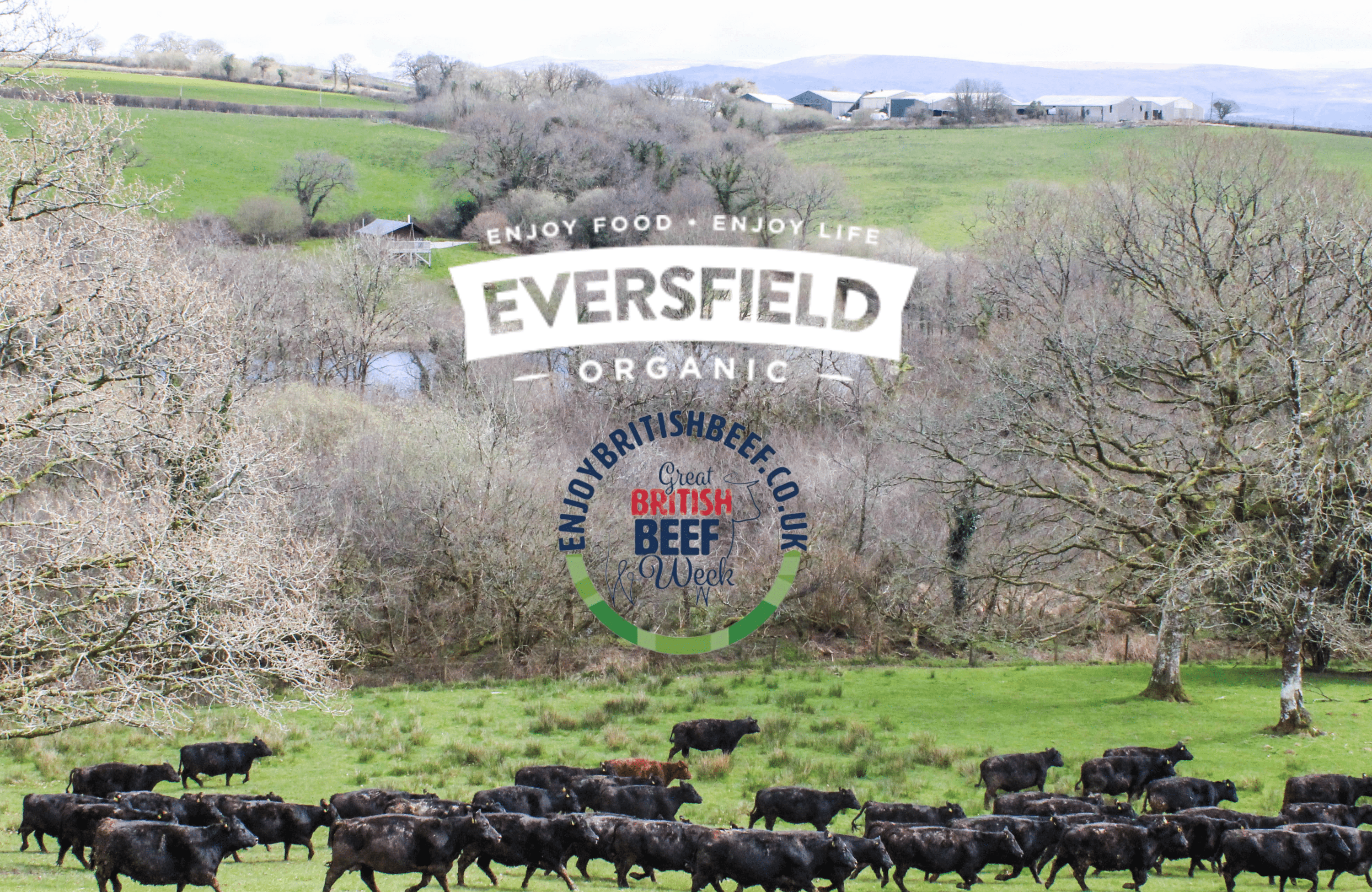 organic grass fed beef