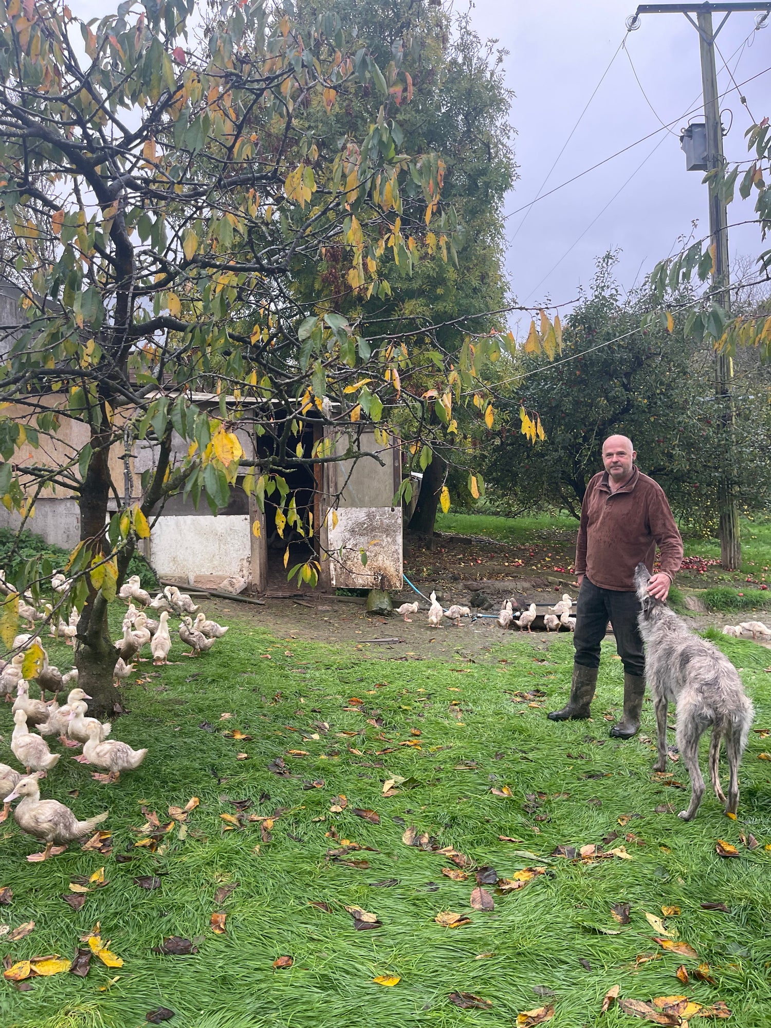 Visiting Summerhill Organic Farm: Meeting Ben Moseley and Seeing True Organic Farming in Action