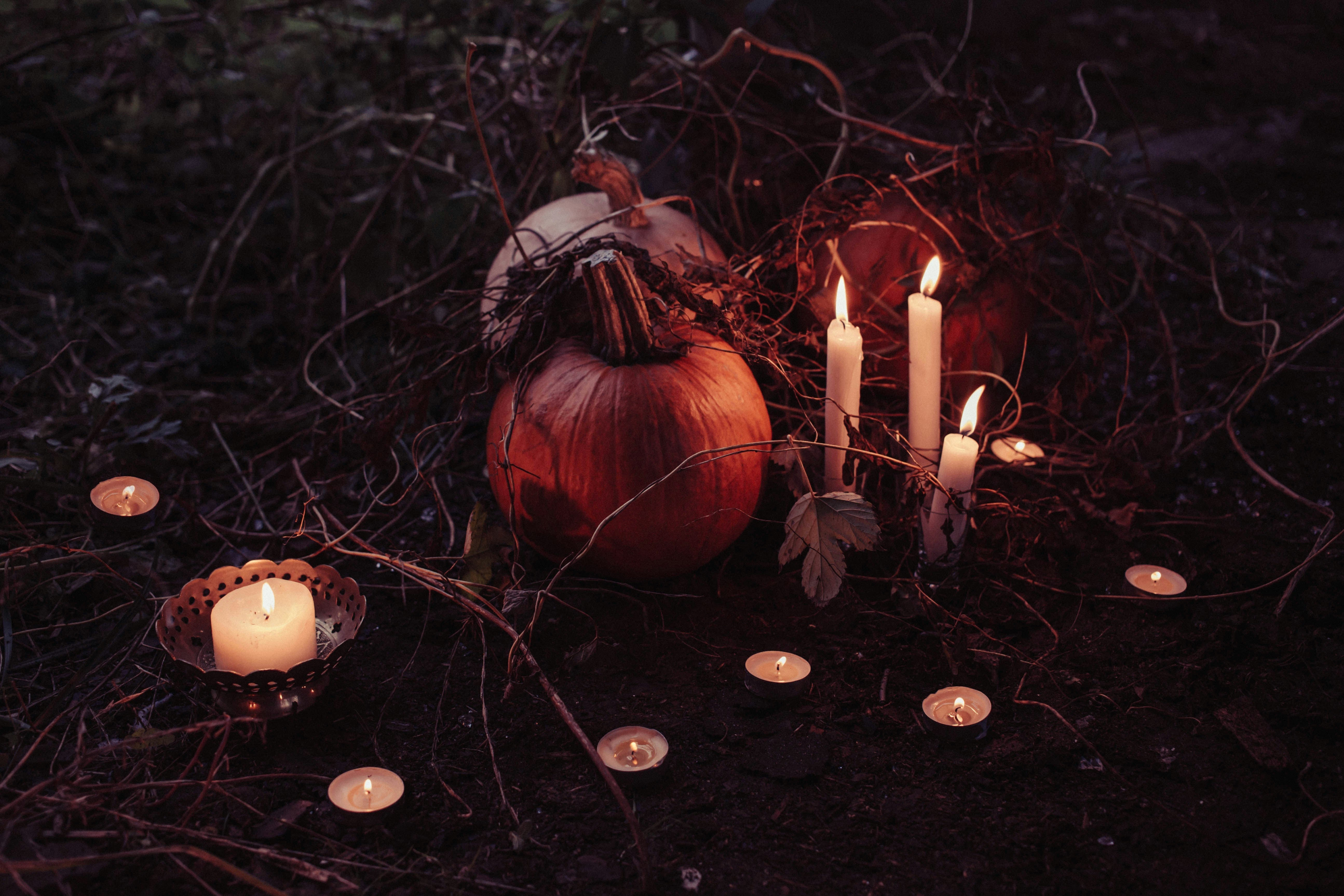 🎃 Spooky Organic Recipes For Halloween Night!