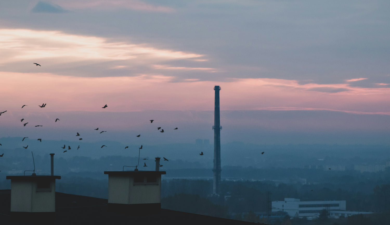 🎃 Scary Facts About Non-Organic Farming