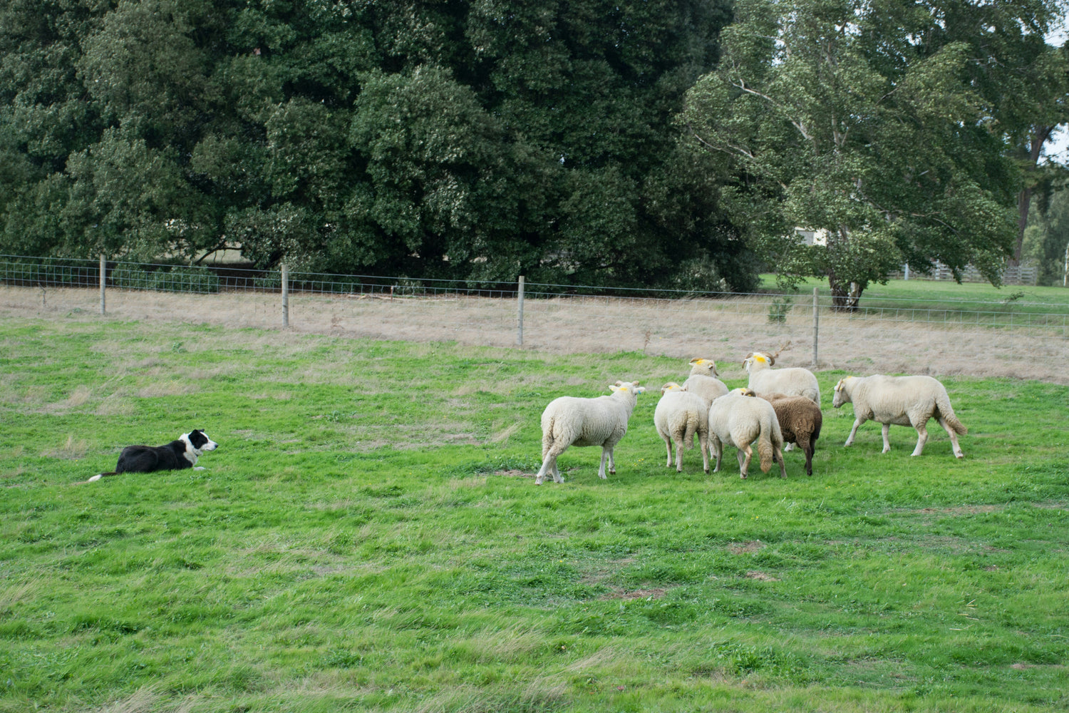 Our Mission To Make Organic Affordable