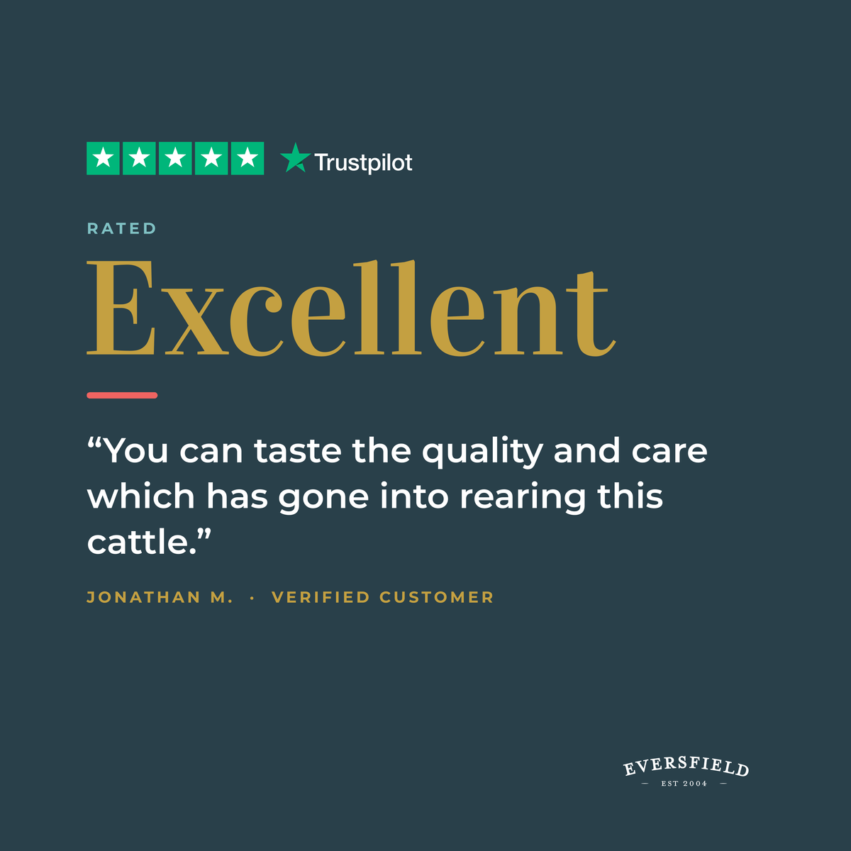 Eversfield Organic Beef Organic Beef Brisket