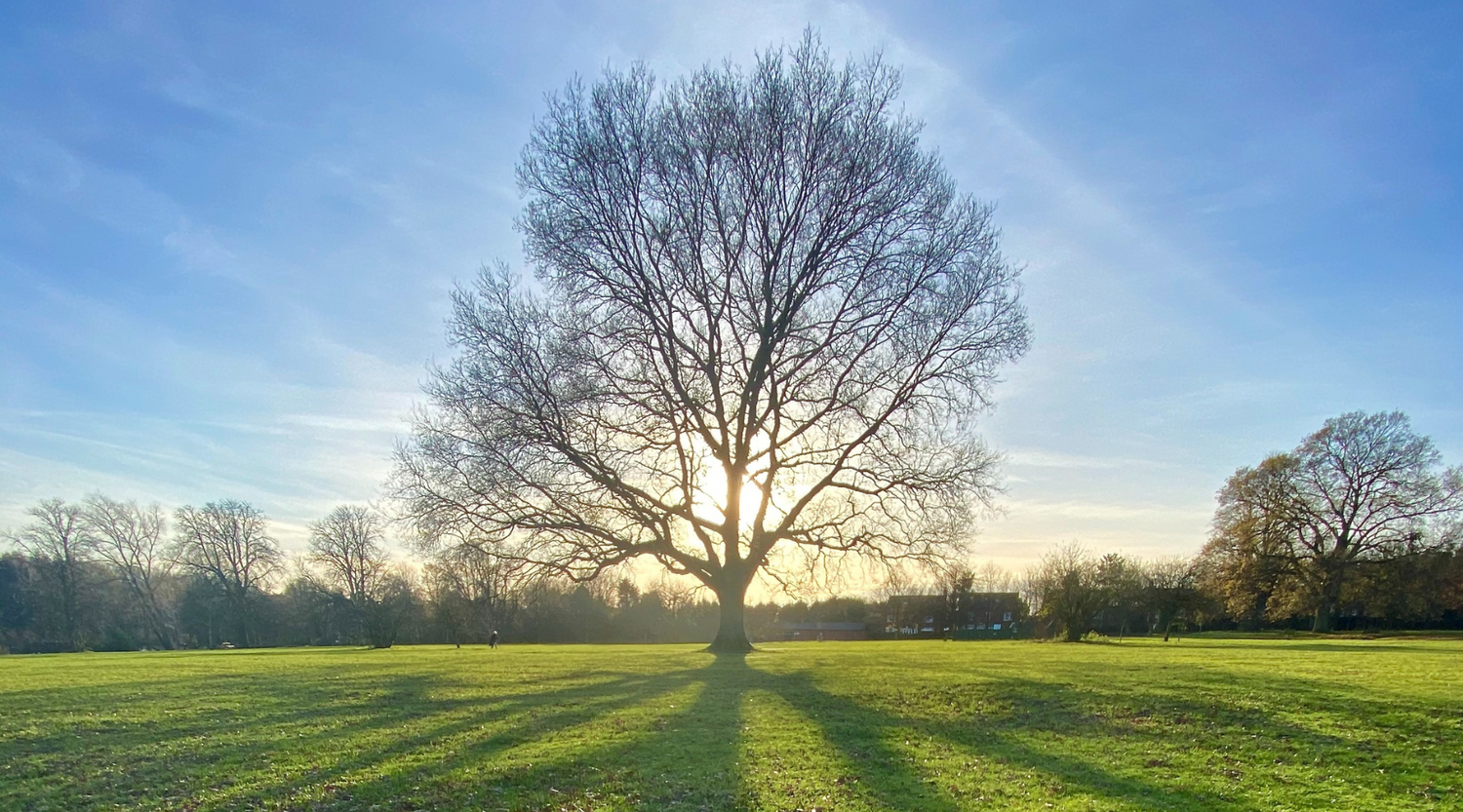 Winter Reset: Boost Your Mental Health In Winter