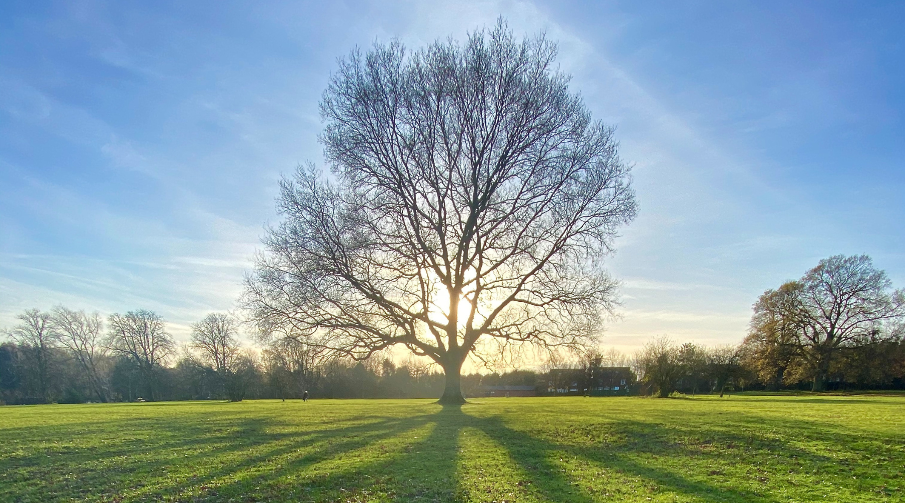 Winter Reset: Boost Your Mental Health In Winter