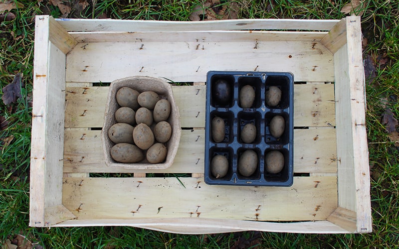 potato house organic seed potatoes market garden