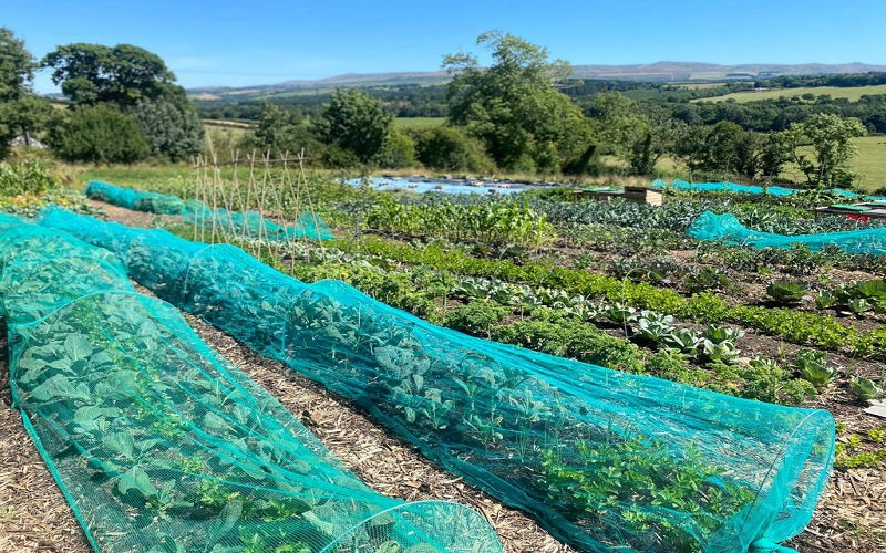 National Allotments Week