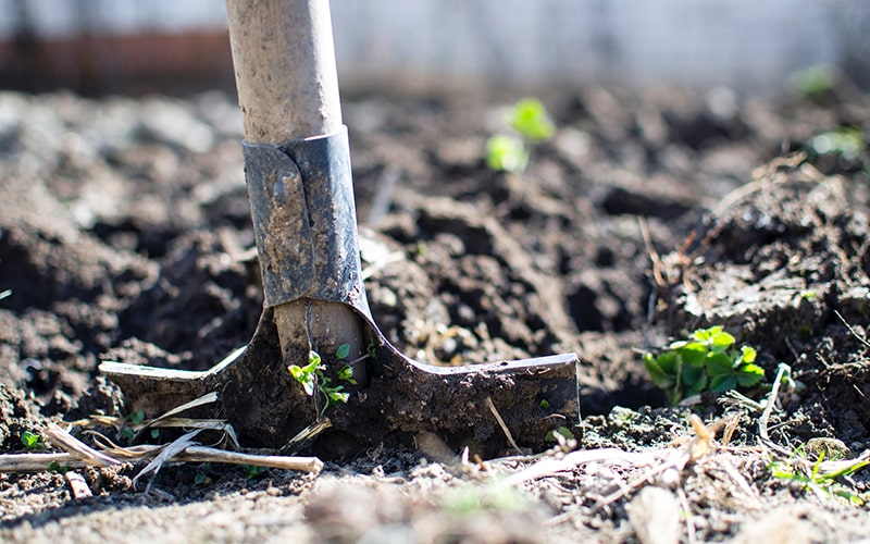 organic soil regenerative farming