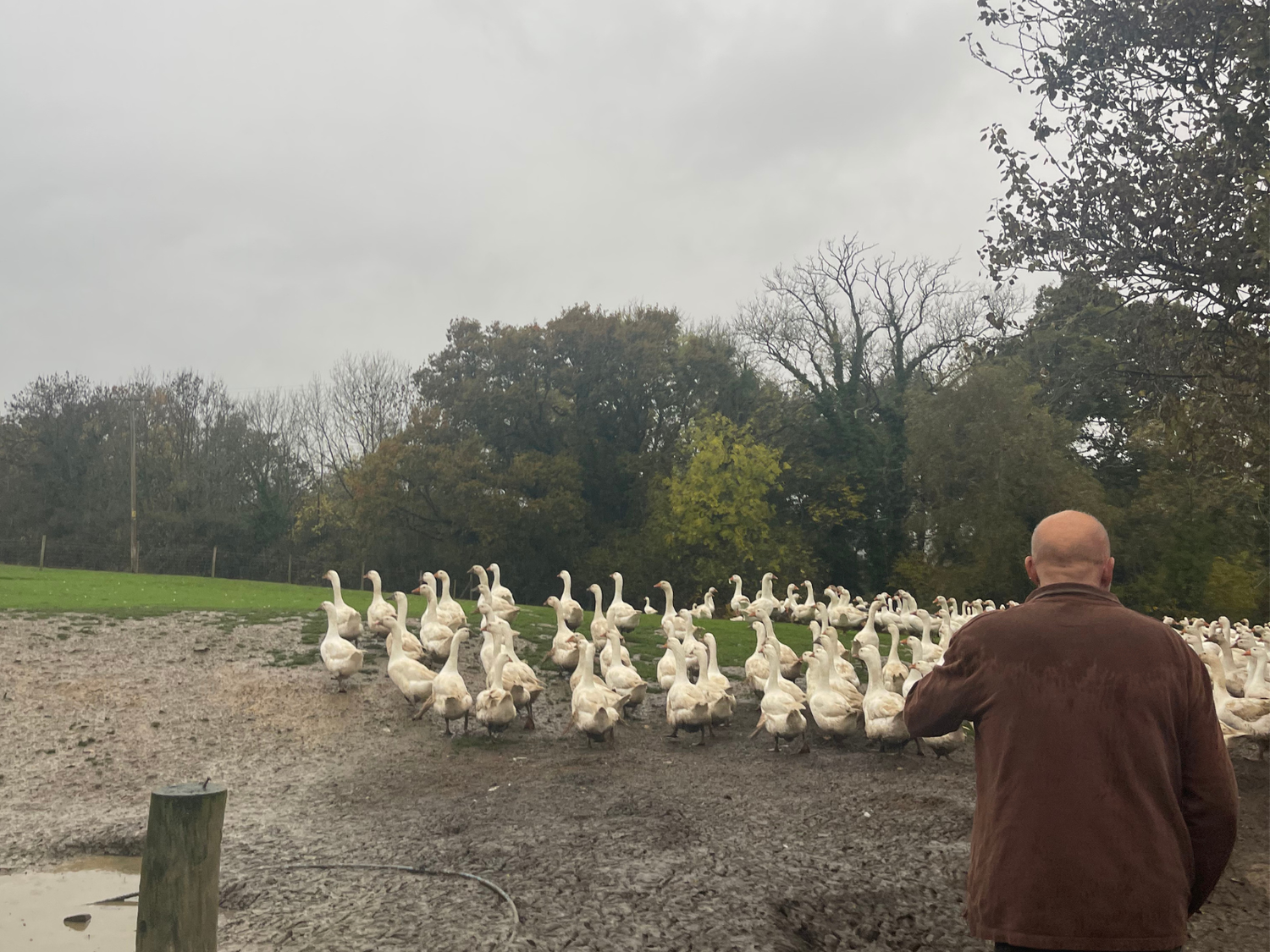 Understanding Food Miles, And Why Local & Seasonal Meat Matters