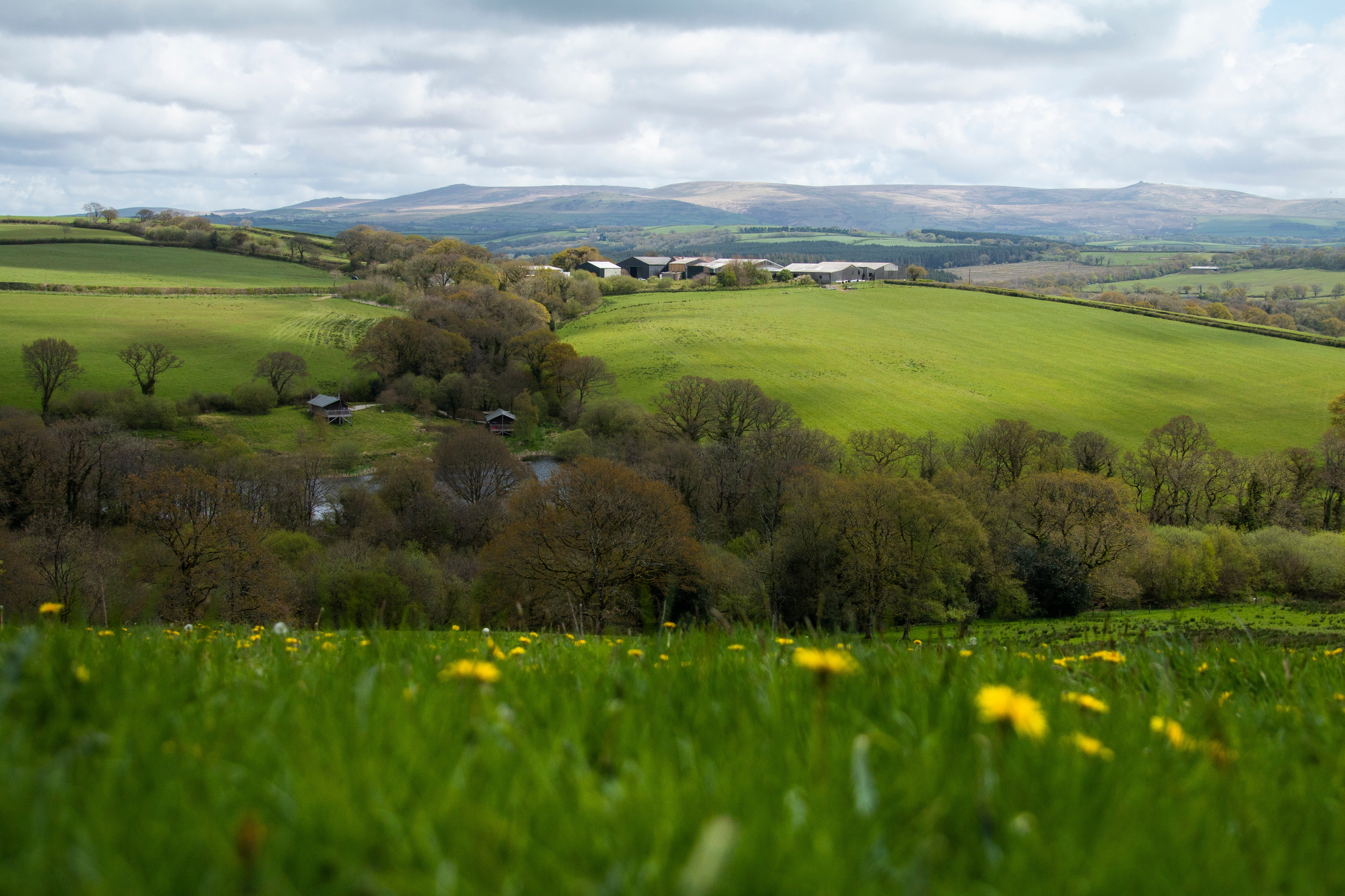 what is regenerative farming?