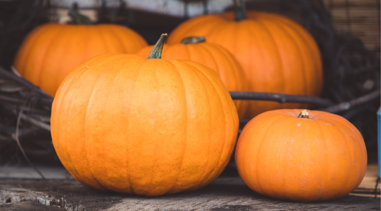 Sustainable Halloween: Making the Most of Your Pumpkin