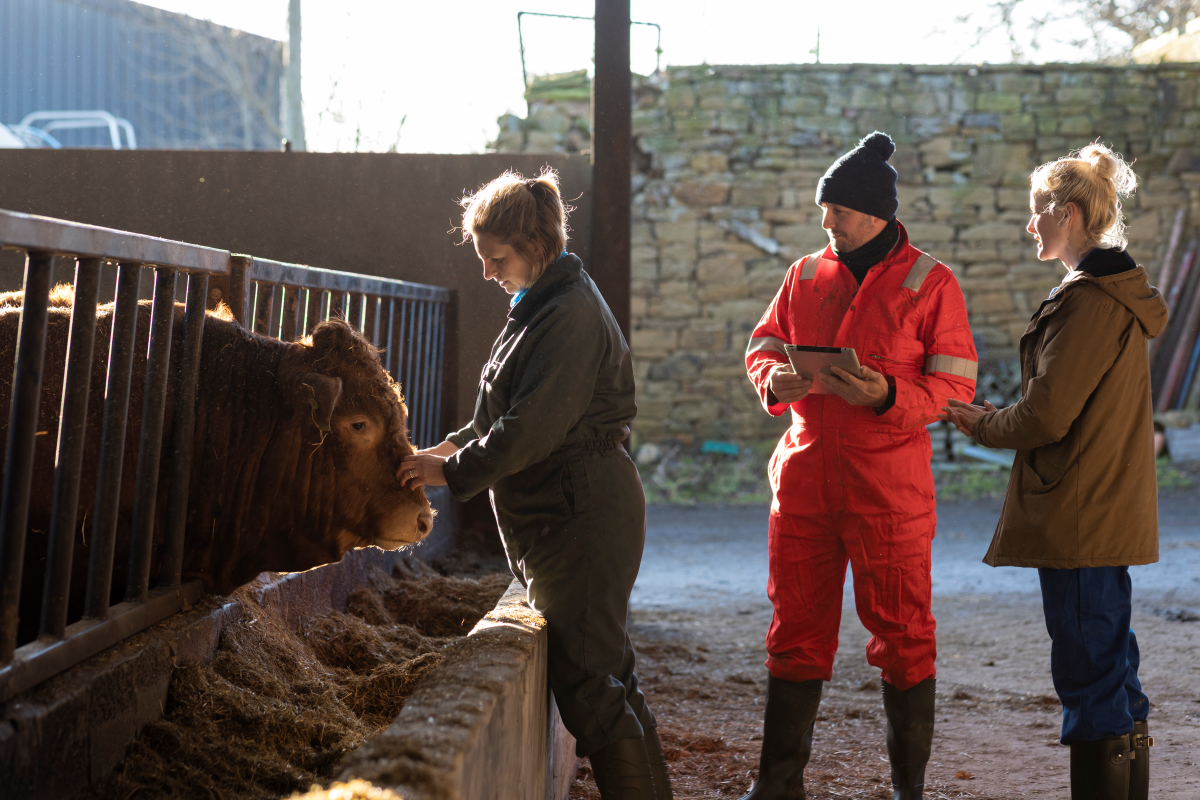 Turning Black Friday Green: Supporting Farmers with RABI