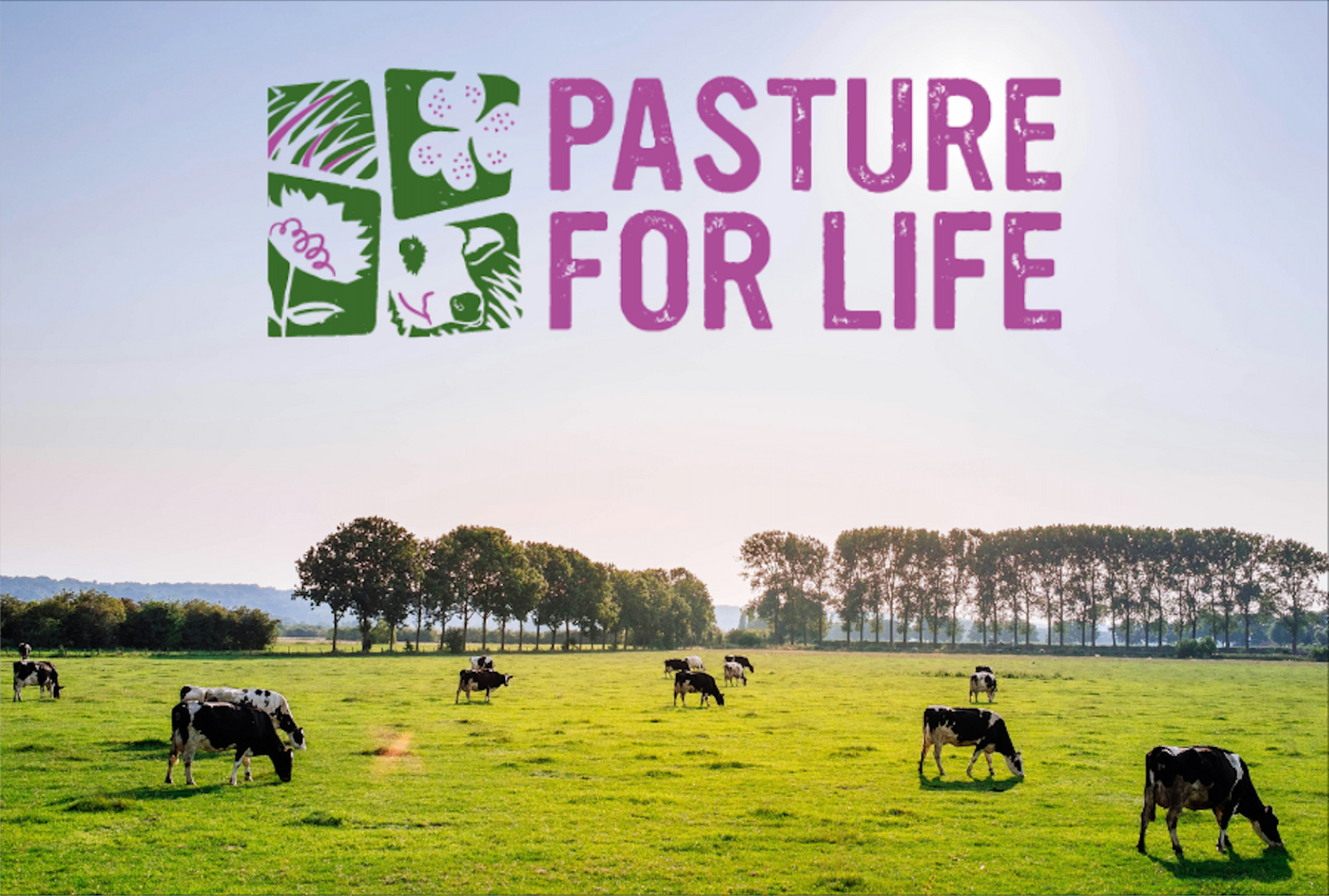 Organic vs. Pasture for Life: What’s the Difference?