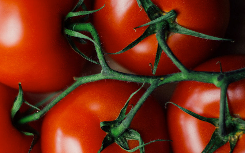 UK Supermarket Tomato Shortages