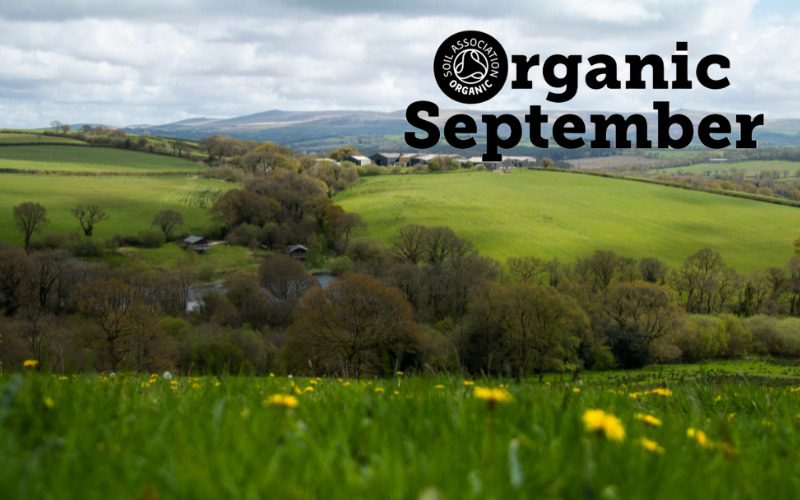 Organic September