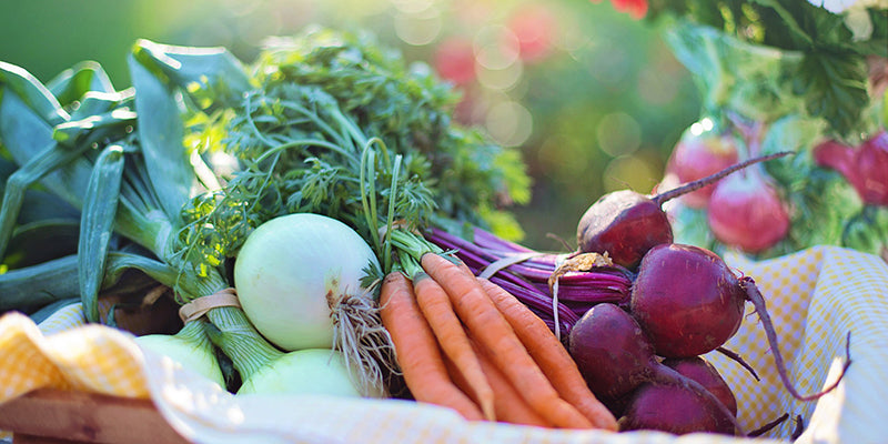 Organic Vegetable Delivery