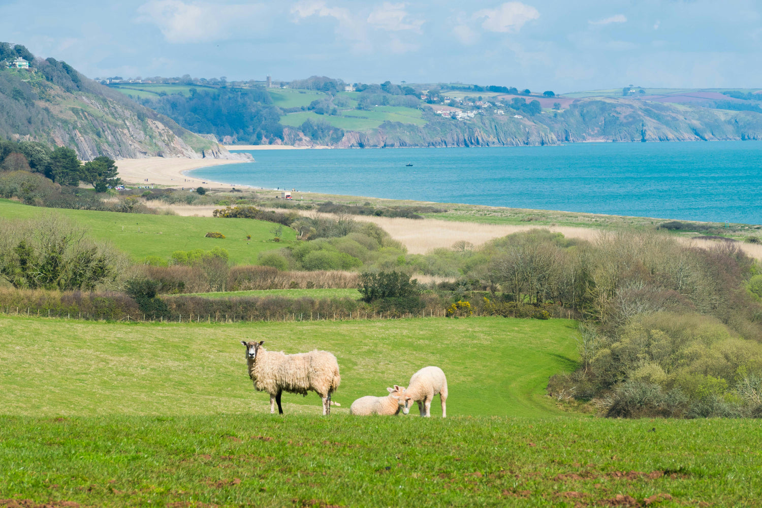 Embrace the Change: Why Organic Meat and Sustainable Fish are the Future in the UK