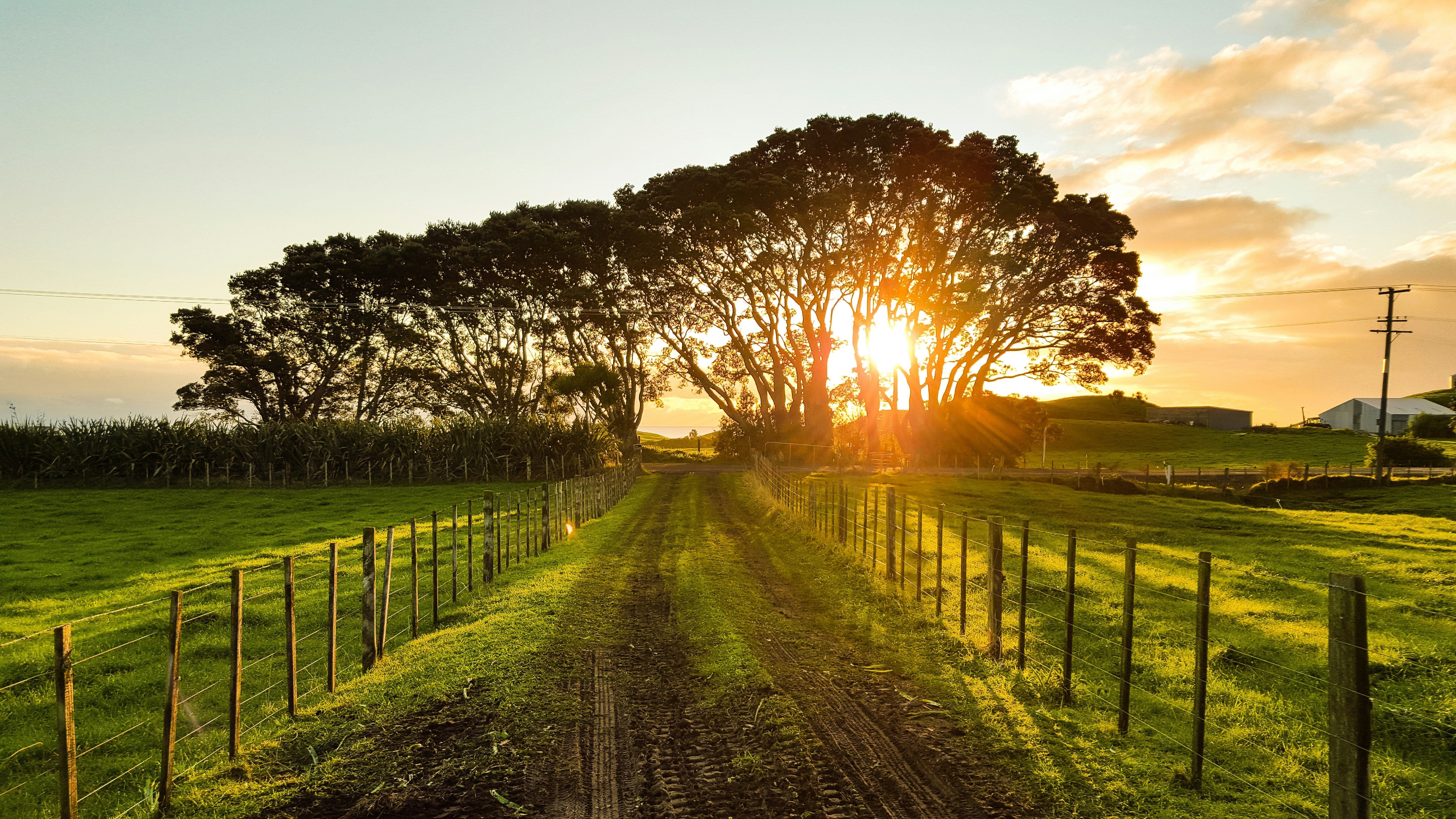 Going Into 2026: Why Eating Organic Still Matters