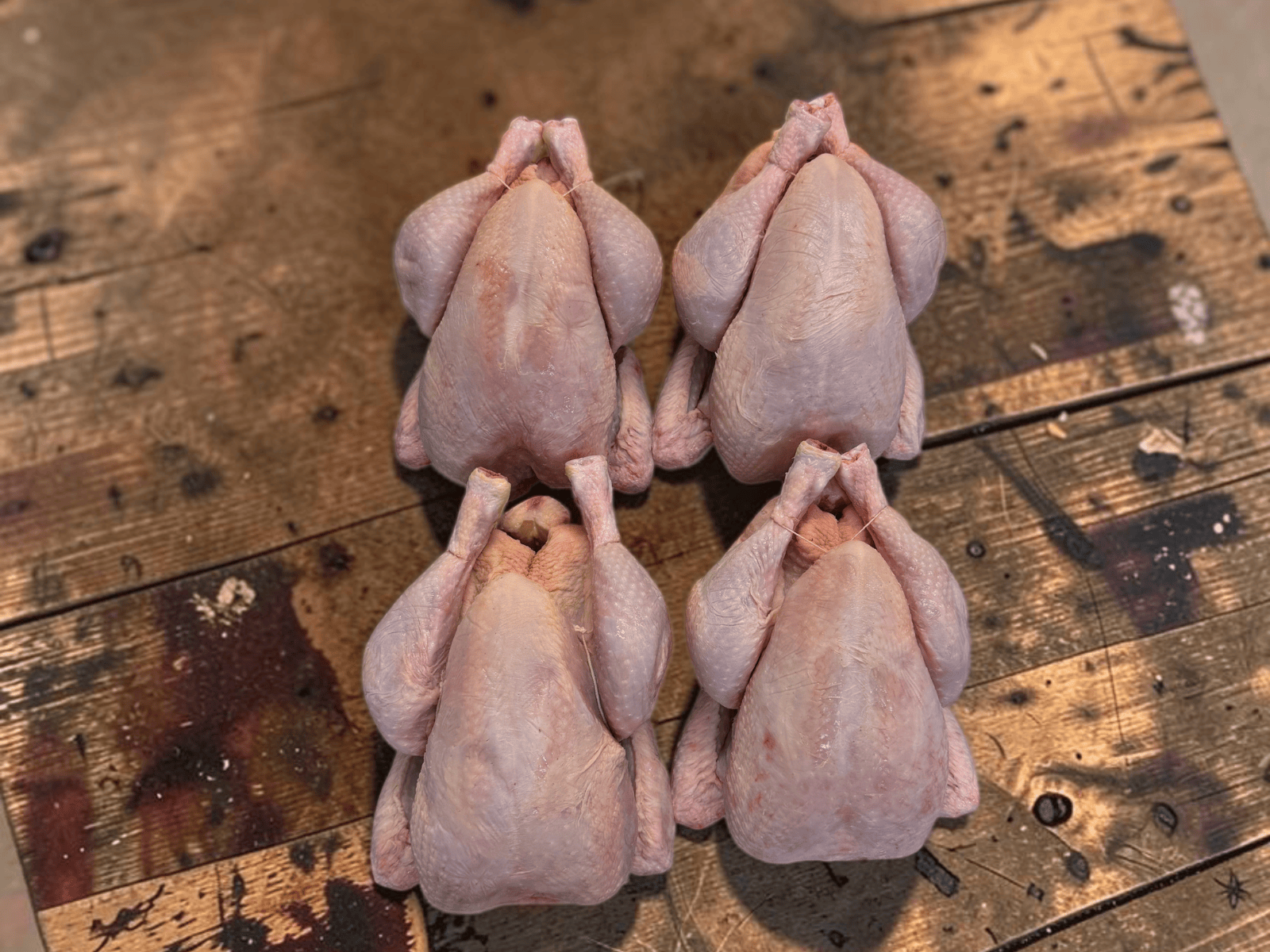 Eversfield Organic  Chicken Organic Chicken Flock Box