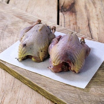 Wild Partridge Brace