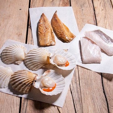 The Fish Box